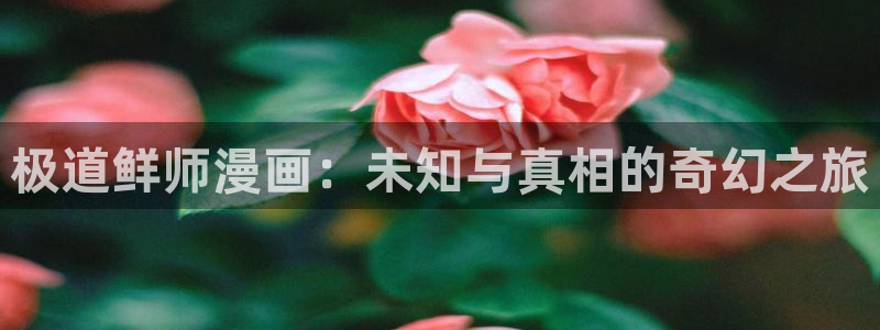 奇漫屋免费下拉式漫画：极道鲜师漫画：未知与真相的奇幻之旅