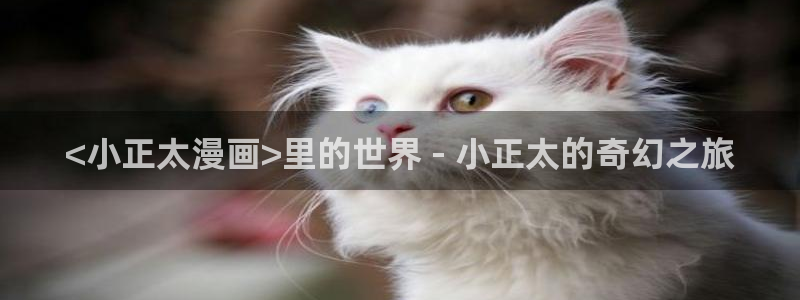 奇漫屋免费漫画下拉式阅读在线看